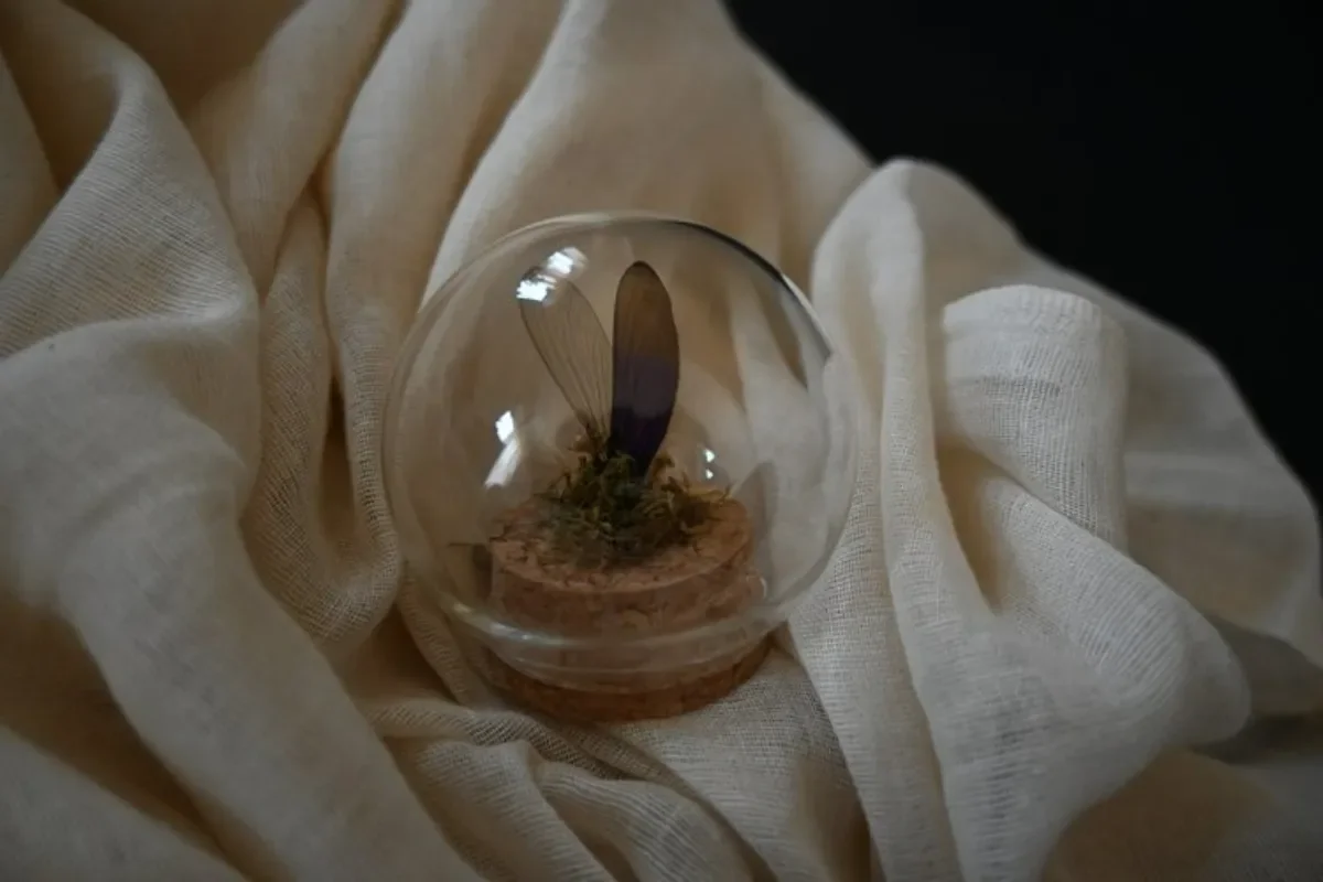 Handmade Damselfly Wing Dome